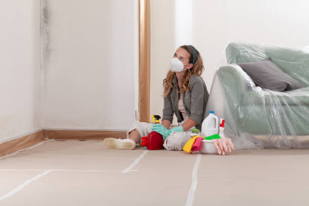Reliable Commercial Mold Remediation contractor in Stoystown, PA by WQB Mold Removal